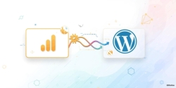 Wordpress'e Google Analytics Nasıl Eklenir?