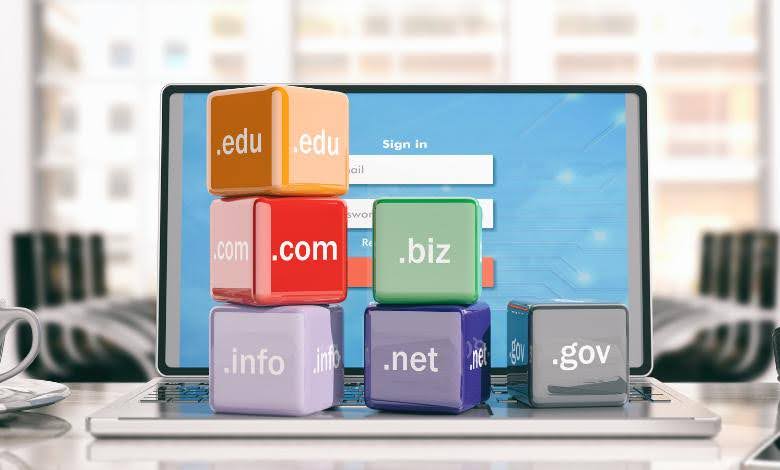 domain nereden alınır