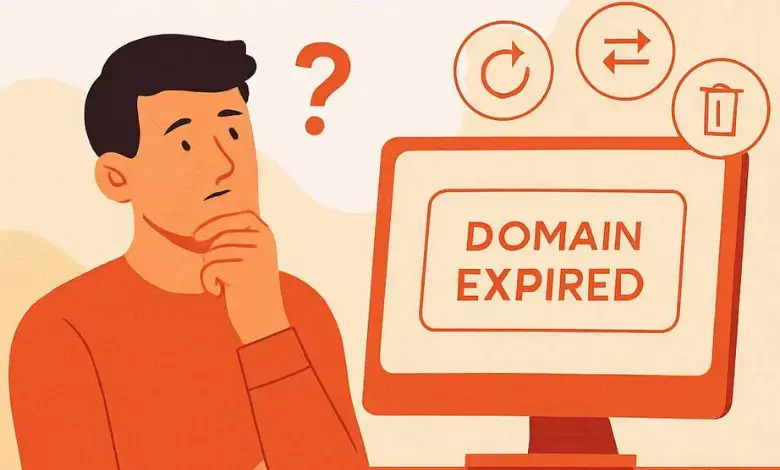 Domain Süresi Dolduktan Sonra Ne Yapmalıyım?