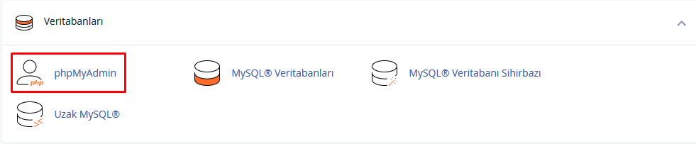 Wordpress site yedekleme