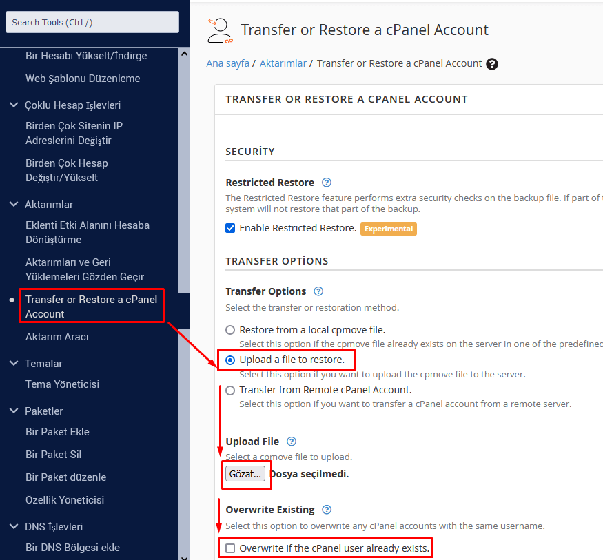 Wordpress yedek geri yükleme